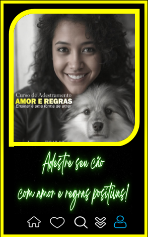 Curso adestramento de cães para donos aprenderem
